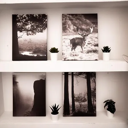 Appartement Charming Frescoed Loft