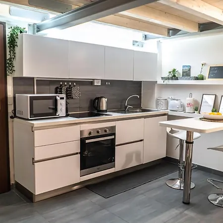 Charming Frescoed Loft Bolonia